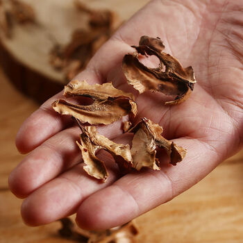 精品好物分心木特级干货中药材核桃夹心木250g250g