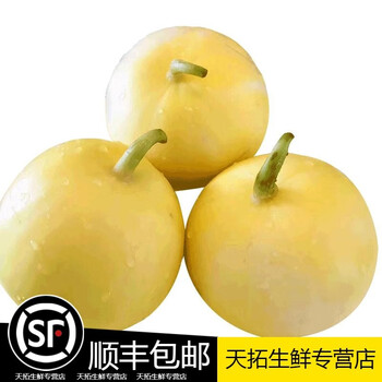 山东金乡白梨瓜甜瓜5斤时令新鲜水果当季现摘现发香脆蜜罐香瓜中果
