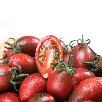 井号福建紫色圣女果紫番茄紫弹头迷彩番茄新鲜当季现摘珠珠番茄 1斤装