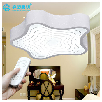 亮盟照明LED吸顶灯创意现代简约卧室客厅灯超亮节能省电灯具8603 LED白色 中号 无极调光调色+遥控