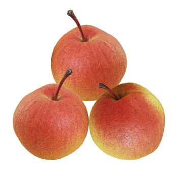 【不打烊】什谷丰 平谷直发 红肖梨 北京红梨 新鲜水果 甜酸爽口 2kg