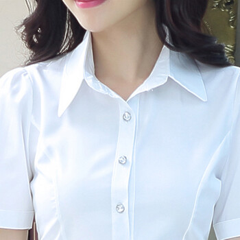 奥芬玉 2016夏装新款韩版女装蝴蝶结立领衬衣OL短袖打底衫修身雪纺衬衫女 XL