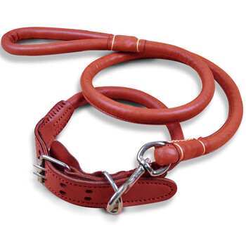 狗链子 宠物生活用品狗狗项圈牵引绳 边牧拉布拉多金毛中大型犬皮质狗绳 棕色大号45到55脖圈【图片 价格 品牌 报价】-京东