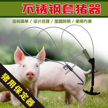楠花绿坊 金贝萝农资不锈钢塑料 猪保定器 套猪器套定器钢丝绑定器猪