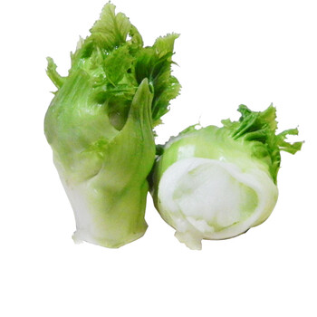 抱儿菜 母子娃娃菜 抱子芥菜 新鲜脆嫩 农家自种蔬菜 5斤