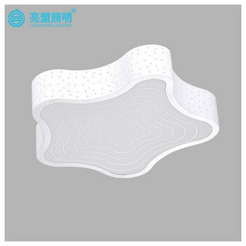 亮盟照明LED吸顶灯创意现代简约卧室客厅灯超亮节能省电灯具8603 LED白色 中号 无极调光调色+遥控