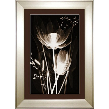 现代简约透明花卉时尚有框画 客厅卧室酒店装饰墙上挂画壁画 款 60*80