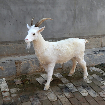 仿真动物山羊模型真皮毛纯手工奶山羊标本工艺品展厅摆件三羊开泰 公