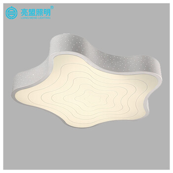 亮盟照明LED吸顶灯创意现代简约卧室客厅灯超亮节能省电灯具8603 LED白色 中号 无极调光调色+遥控