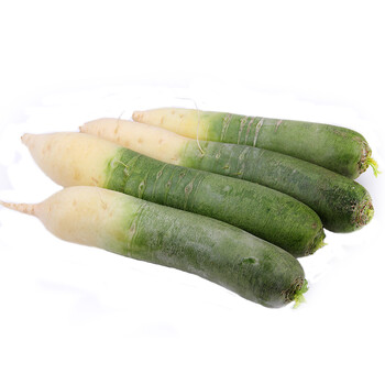 正宗潍坊水果萝卜 新鲜蔬菜 潍县萝卜沙窝水萝卜 青萝卜2.5kg