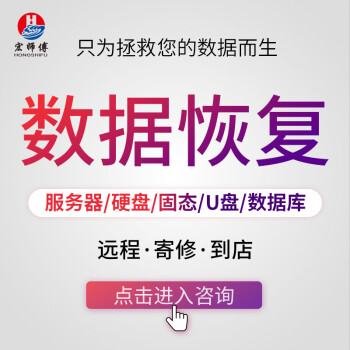 固态ssd移动硬盘数据恢复服务器阵列磁头开盘sd卡电脑文件修复u盘修复硬盘维修数据远程恢复预约价固件故障 图片价格品牌报价 京东