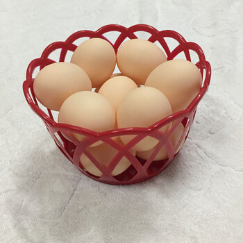 婴儿游泳池戏水玩具 蔬菜水果捏捏响叫 12个白鸡蛋(送篮子)