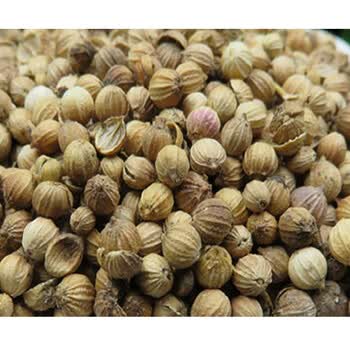 精选香菜籽芫荽籽 松须菜籽香菜子 胡荽籽香料调料50gdf_现价10元
