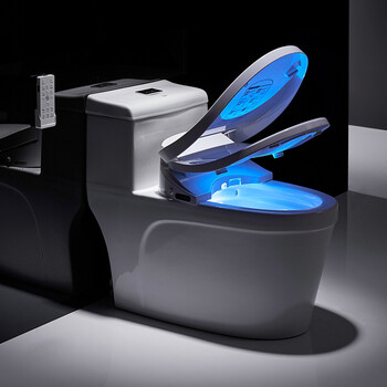 斯沐汀冲洗洁身器电动即热式坐便通用全自动遥控智能马桶盖 坐便器