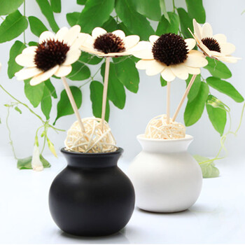 乐唯仕无火香薰精油套装/藤条香薰套装/室内香薰/香薰精油/净化除味/系列 秘密花园 薰衣草怡情养性