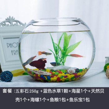 金魚缸玻璃生態開放式辦公桌面魚缸水培器皿 15cm五彩石海景套餐圓缸