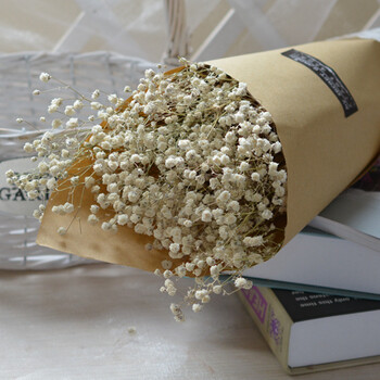 乐逸仕(leyishi) 满天星花束纸质包装干花束摄影道具情人节送女友礼物