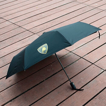 点缤 汽车雨伞自动收缩便捷 车载遮雨折叠伞 带专用标识雨伞 兰博基尼