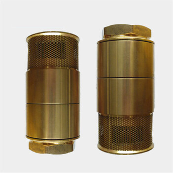 全铜双门底阀止回阀油罐车双门底阀加油机配件防倒油 dn32