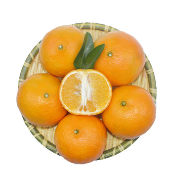 原野农场 广东有机 皇帝柑 贡柑 橘子/桔子新鲜水果 黄皮大果60mm/3.