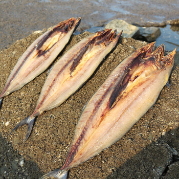 恬女神山东特产马鲛鱼咸鲅鱼马鲛鱼半干货1500g