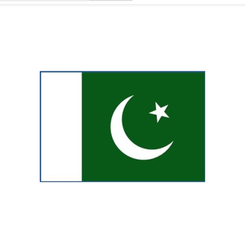 全弹 国旗 世界各地 三号旗织 192cm*128cm 3号旗 巴基斯坦国旗3号