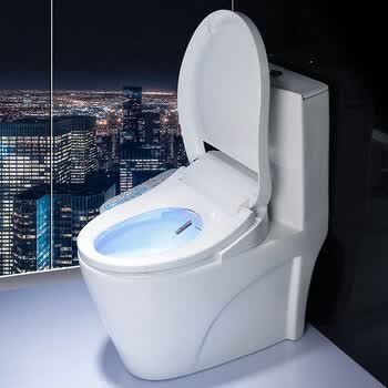 即热式全自动加热坐便器智能马桶盖板冲洗器电动洁身器