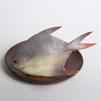 tsful 仿真鱼玩具鱼假鱼模型小孩儿童玩具海洋馆超市商场装饰摆件sn