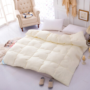 秋冬加厚单双人保暖棉被实用家纺定制! 米色 220*240cm