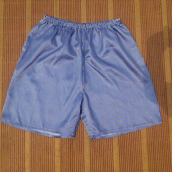 五裤大裤衩纺真丝手感宽松短裤 蓝色 蓝色条纹 170(l)