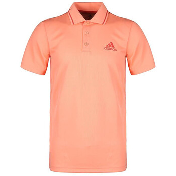 adidas club tex polo