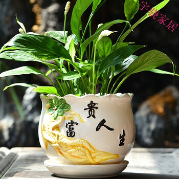 陶瓷带托盘大码欧式简约室内绿萝多肉植物大号花盆 单个富贵人生花盆