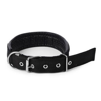 宠物宠物狗脖套泡棉狗狗狗款2.5cm 颜色随机 m码