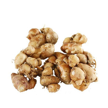 新鲜沙姜山奈500g