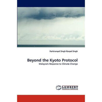 Beyond the Kyoto Protocol