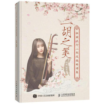 二胡之美