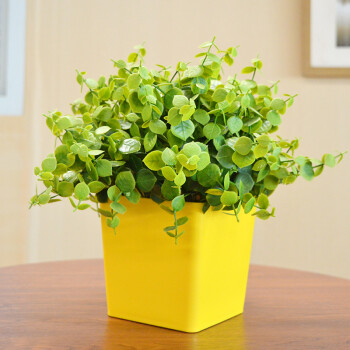 仿真花盆栽假花植物摆件桌面卧室绿植装饰品家居小盆景塑料干花 方黄