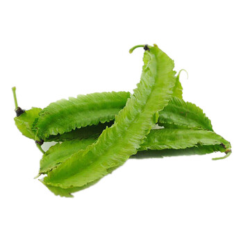 良知农哥新鲜四角豆绿色金子龙豆四棱豆健康轻食3斤发顺丰