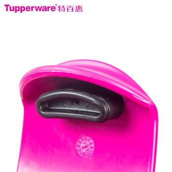 特百惠（Tupperware）正品 塑料创意带滤网户外运动休闲办公便携360ML茶香隔温杯 深蓝色