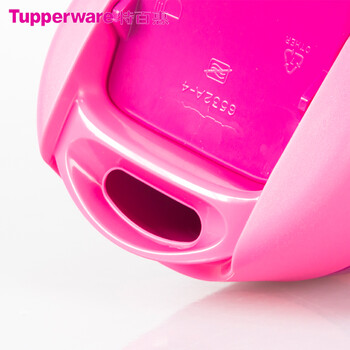 特百惠（Tupperware）正品 塑料创意带滤网户外运动休闲办公便携360ML茶香隔温杯 深蓝色