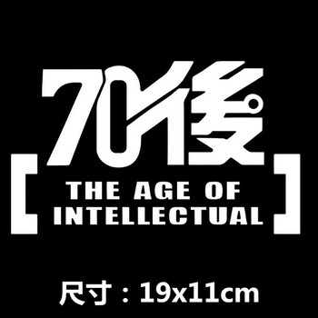 贴纸拉花引擎盖车门90年代机盖车贴遮划痕车头盖70个性贴 70后19cm 银