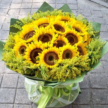 生日向日葵花束天津长春鲜花速递青岛济南大连无锡石家庄同城送花 16