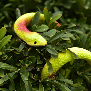 逼真仿真蛇创意塑胶儿童玩笑动物假软蛇模型小玩具弹性假蛇橡皮蛇