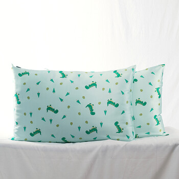 枕套拉链开口丝绸枕头套单只春 恐龙 50cmx75cm