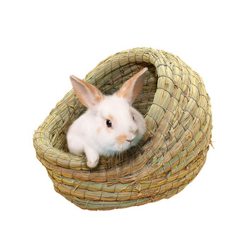 兔窝兔子屋草窝鸟窝兔兔荷兰猪天竺鼠宠物用品保暖 拖鞋形兔窝大号【