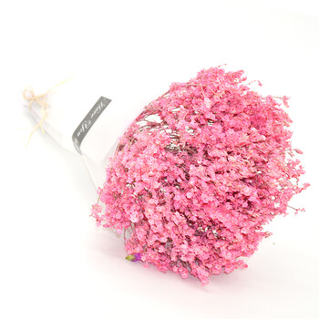 干花花束鲜花批发带花瓶一扎散装客厅家居摆件真永生花sn2575 粉色