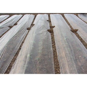 农业白色塑料薄膜保湿保温透光除草地膜规格齐全 20斤白地膜1.2米宽
