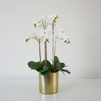 果林轩大型多头蝴蝶兰仿真花假花金盆陶瓷客厅花艺简约组合套装 5头