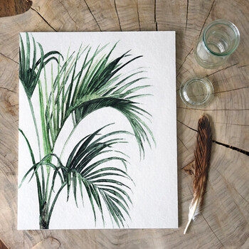 diy数字油画现代简约北欧植物花卉龟背树叶填色手绘 散尾葵b 74*53.