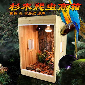 恩寿溯蜜袋鼯变色龙鸟鹦鹉 蜜袋鼬绿鬣蜥蜥蜴饲养木箱 高箱 蜥蜴保温